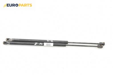 Амортисьор за багажник/товарно пространство за Renault Scenic II Minivan (06.2003 - 07.2010)