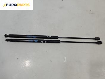 Амортисьор за багажник/товарно пространство за Hyundai Santa Fe I SUV (11.2000 - 03.2006)