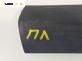 Външна лайсна врата за Renault Scenic I Minivan (09.1999 - 07.2010), позиция: предна, лява