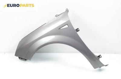 Калник за Renault Scenic II Minivan (06.2003 - 07.2010), позиция: лява