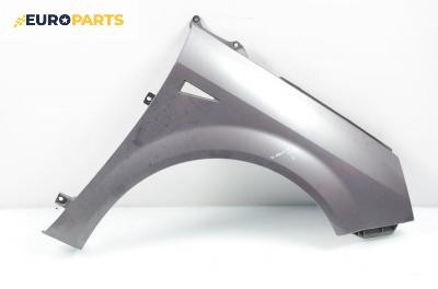 Калник за Renault Scenic II Minivan (06.2003 - 07.2010), позиция: дясна