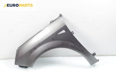 Калник за Renault Scenic II Minivan (06.2003 - 07.2010), позиция: лява