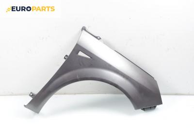 Калник за Renault Scenic II Minivan (06.2003 - 07.2010), позиция: дясна
