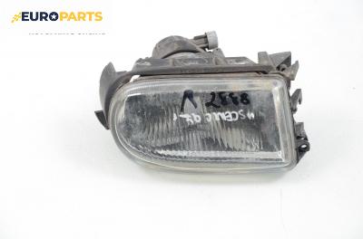 Халоген за Renault Megane Scenic (10.1996 - 12.2001), позиция: лява