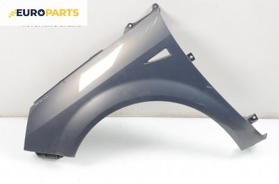 Калник за Renault Scenic II Minivan (06.2003 - 07.2010), позиция: лява