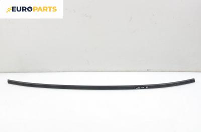 Лайсна таван за Citroen C3 Hatchback I (02.2002 - 11.2009), хечбек, позиция: лява