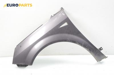 Калник за Renault Scenic II Minivan (06.2003 - 07.2010), позиция: лява