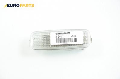 Плафон за Audi A3 Hatchback II (05.2003 - 08.2012)
