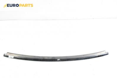 Лайсна таван за Mercedes-Benz C-Class Coupe (CL203) (03.2001 - 06.2007), купе, позиция: предна