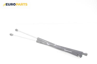 Амортисьор за багажник/товарно пространство за Renault Laguna I Hatchback (11.1993 - 08.2002)