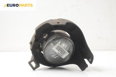 Халоген за Nissan Navara Pick-up (10.2004 - 05.2014), пикап, позиция: дясна