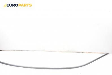 Лайсна таван за BMW 7 Series E65 (11.2001 - 12.2009), седан, позиция: лява