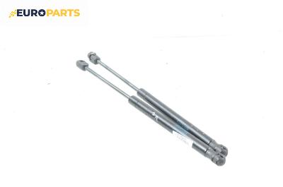 Амортисьор за багажник/товарно пространство за Renault Megane II Hatchback (07.2001 - 10.2012)