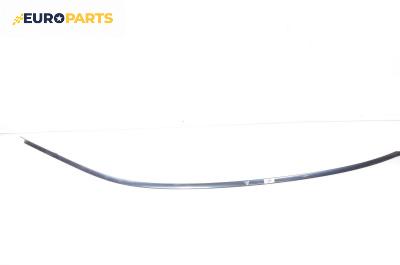 Лайсна таван за BMW 7 Series E65 (11.2001 - 12.2009), седан, позиция: дясна