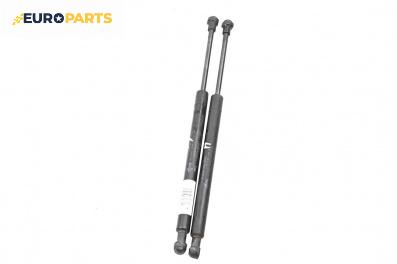 Амортисьор преден капак за Nissan Murano I SUV (08.2003 - 09.2008)