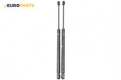 Амортисьор за багажник/товарно пространство за Nissan Murano I SUV (08.2003 - 09.2008)