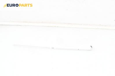 Външни лайсни за Audi A6 Avant C6 (03.2005 - 08.2011), комби, позиция: лява
