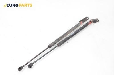 Амортисьор за багажник/товарно пространство за Nissan Murano I SUV (08.2003 - 09.2008)