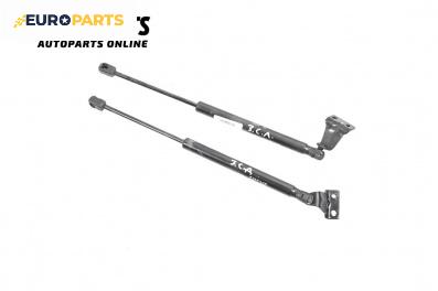 Амортисьор за багажник/товарно пространство за Hyundai Tucson SUV I (06.2004 - 11.2010)