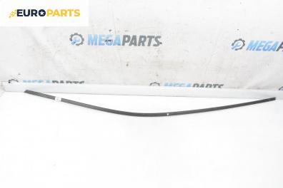 Лайсна таван за Peugeot 206 Hatchback (08.1998 - 12.2012), хечбек, позиция: дясна