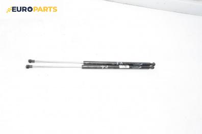 Амортисьор за багажник/товарно пространство за Renault Scenic I Minivan (09.1999 - 07.2010)