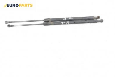 Амортисьор за багажник/товарно пространство за Audi A3 Hatchback II (05.2003 - 08.2012)