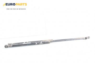Амортисьор за багажник/товарно пространство за Seat Ibiza III Hatchback (02.2002 - 11.2009)