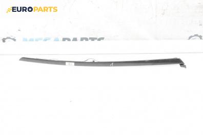 Външни лайсни за Citroen C4 Coupe (11.2004 - 12.2013), купе, позиция: лява