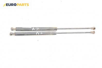 Амортисьор за багажник/товарно пространство за Renault Megane I Grandtour (03.1999 - 08.2003)