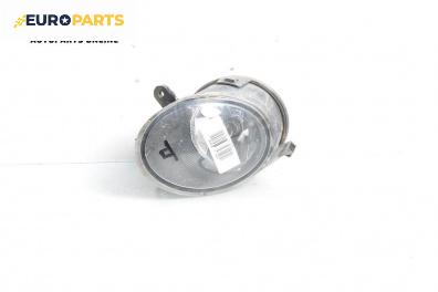 Халоген за Audi A6 Avant C6 (03.2005 - 08.2011), комби, позиция: дясна