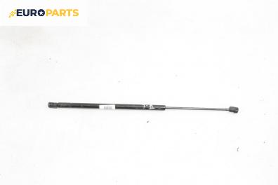 Амортисьор за багажник/товарно пространство за Renault Megane Scenic (10.1996 - 12.2001)