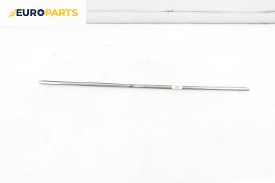 Външни лайсни за Mini Hatchback I (R50, R53) (06.2001 - 09.2006), хечбек, позиция: дясна