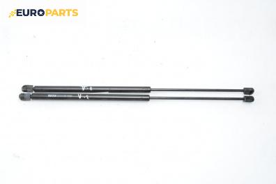 Амортисьор за багажник/товарно пространство за Renault Scenic I Minivan (09.1999 - 07.2010)