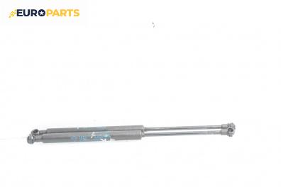 Амортисьор за багажник/товарно пространство за Renault Twingo II Hatchback (03.2007 - 10.2014)