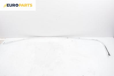 Външни лайсни за Renault Vel Satis Hatchback (06.2002 - 07.2009), хечбек, позиция: лява