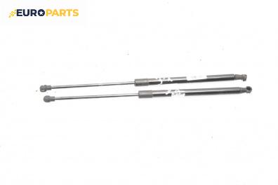 Амортисьор за багажник/товарно пространство за Audi A4 Avant B7 (11.2004 - 06.2008)