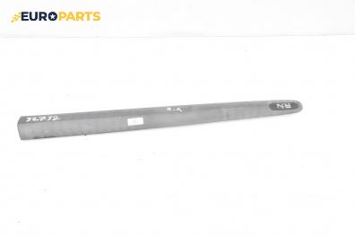 Външна лайсна врата за Renault Scenic I Minivan (09.1999 - 07.2010), миниван, позиция: предна, лява