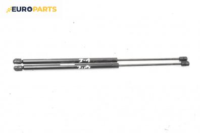 Амортисьор за багажник/товарно пространство за Renault Scenic I Minivan (09.1999 - 07.2010)