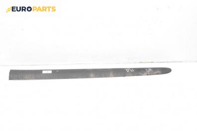 Външна лайсна врата за Renault Clio II Hatchback (09.1998 - 09.2005), хечбек, позиция: предна, дясна