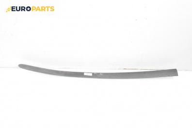 Външна лайсна врата за Seat Ibiza III Hatchback (02.2002 - 11.2009), хечбек, позиция: предна, лява