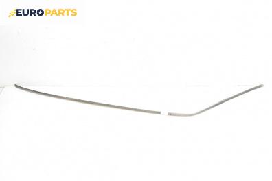 Лайсна таван за Mercedes-Benz 124 Sedan (12.1984 - 06.1993), седан, позиция: лява