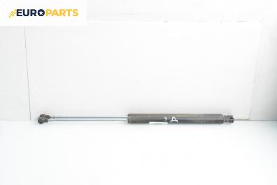 Амортисьор за багажник/товарно пространство за Renault Laguna II Hatchback (03.2001 - 12.2007)