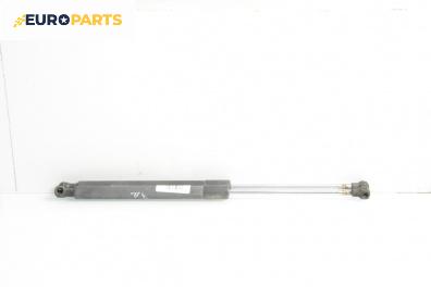 Амортисьор за багажник/товарно пространство за Renault Clio III Hatchback (01.2005 - 12.2012)