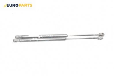 Амортисьор за багажник/товарно пространство за Citroen C3 Hatchback I (02.2002 - 11.2009)