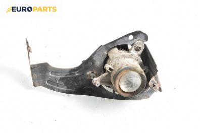 Халоген за Fiat Punto Hatchback II (09.1999 - 07.2012), хечбек, позиция: лява