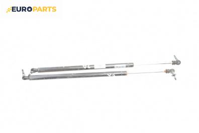 Амортисьор за багажник/товарно пространство за Chrysler Voyager Minivan IV (09.1999 - 12.2008)