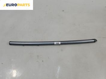 Външни лайсни за Citroen C3 Pluriel (05.2003 - 03.2010), кабрио, позиция: предна