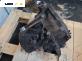 Ръчна скоростна кутия за Peugeot 206 + Hatchback (01.2009 - 08.2013) 1.1, 60 к.с.