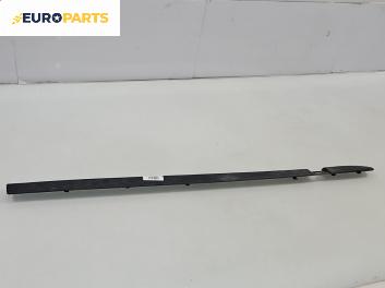 Външна лайсна врата за Renault Clio III Hatchback (01.2005 - 12.2012), позиция: предна, дясна