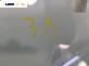 Странично стъкло за Fiat QUBO Minivan (02.2008 - 12.2017), 4+1 вр., позиция: задна, лява